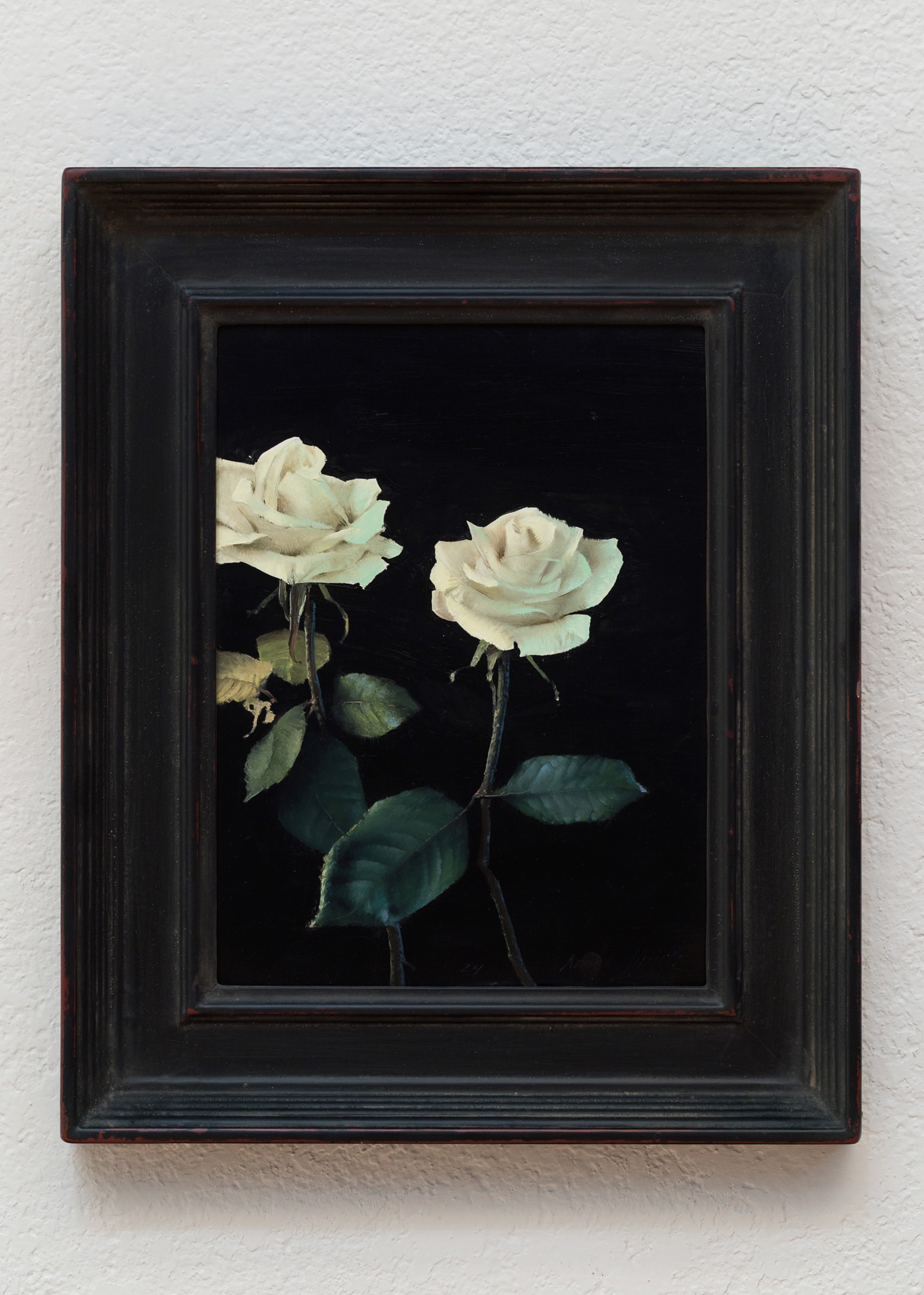 White Roses IV