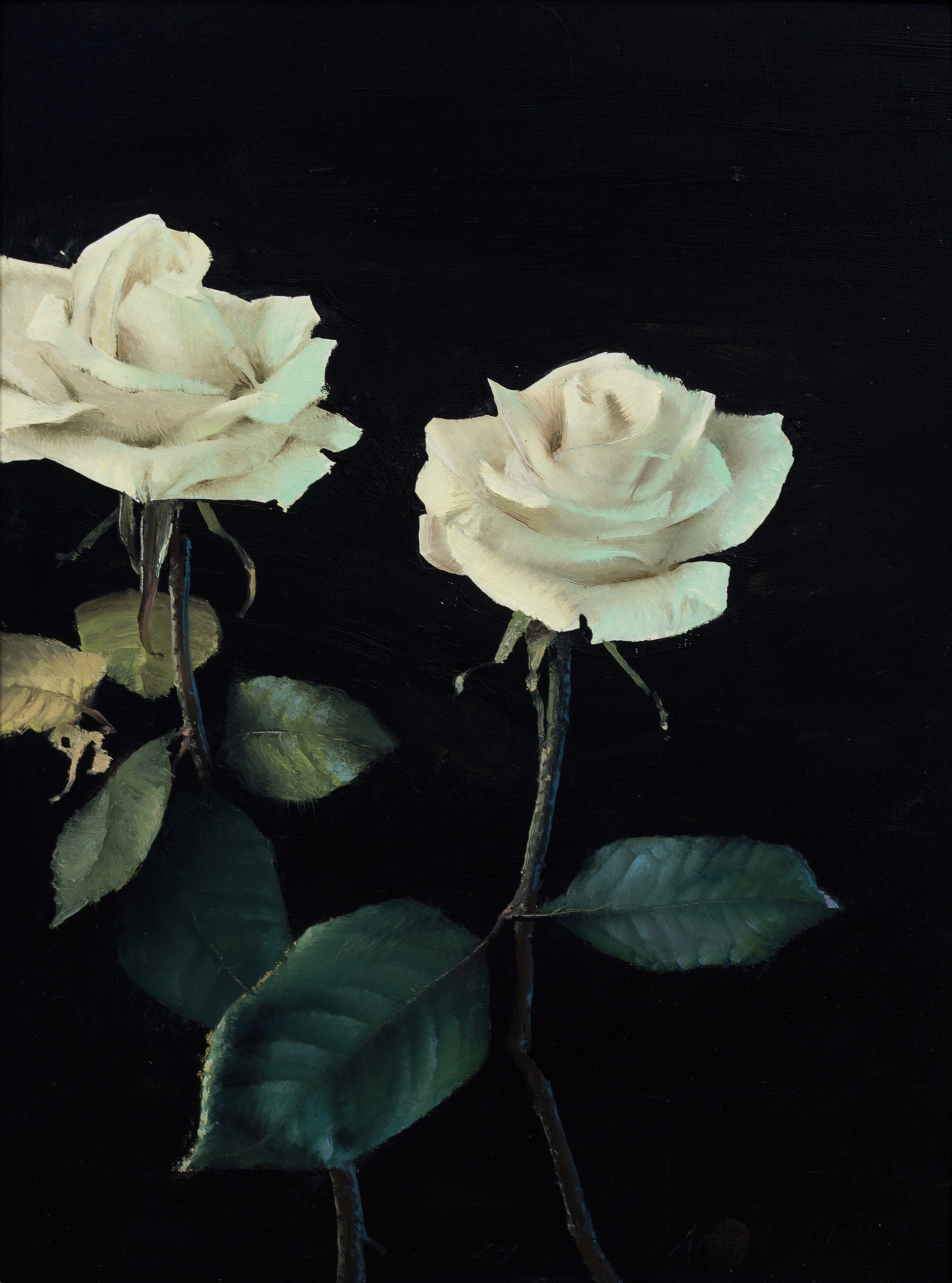 White Roses IV by Daniel Sprick, 2025