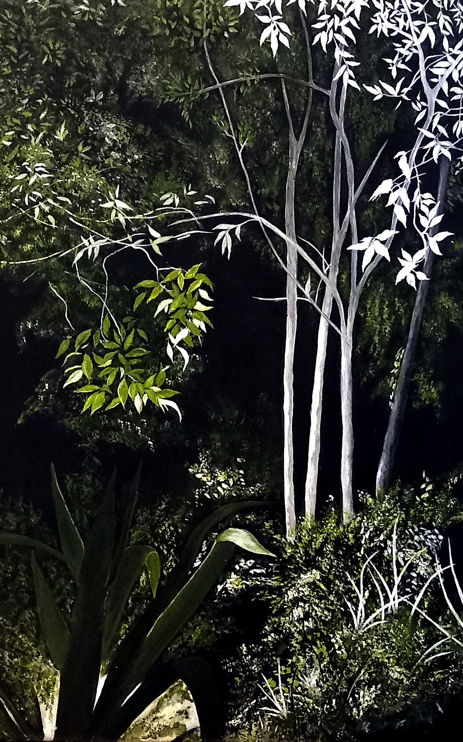 A painting of trees and plants in a forest. 