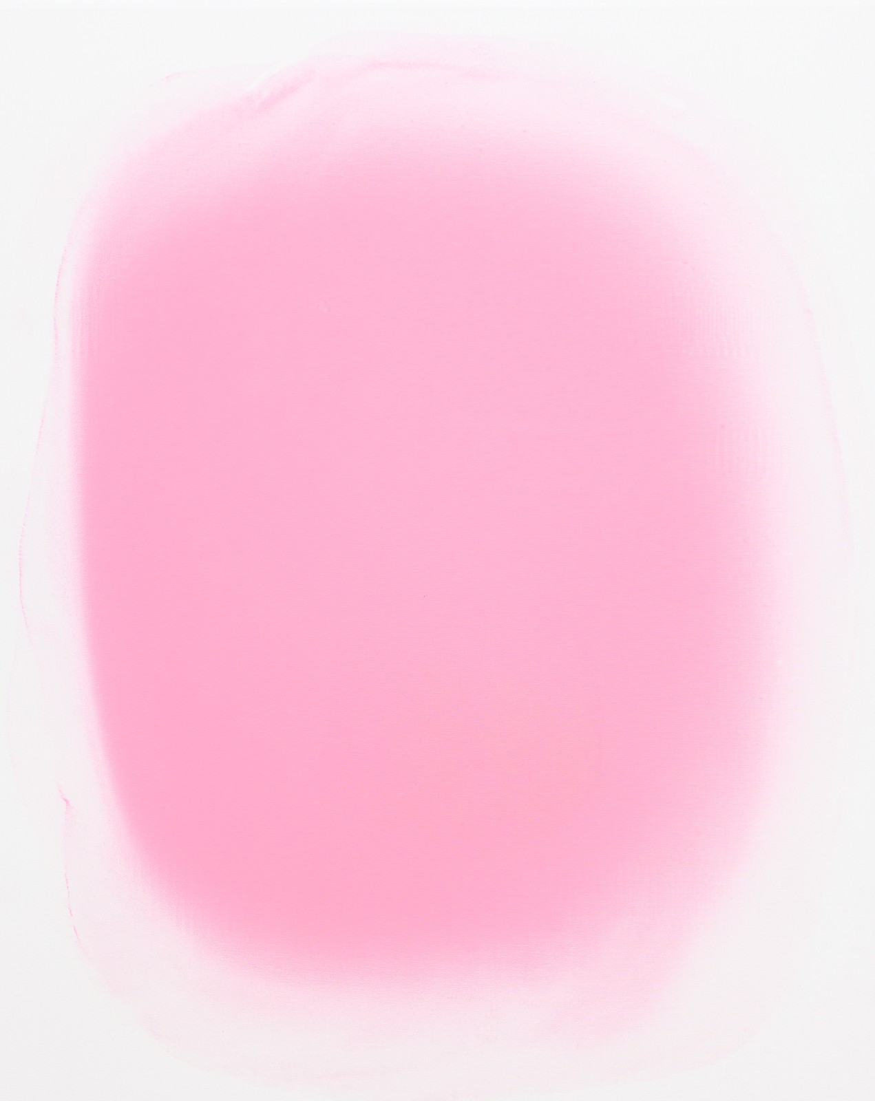 A pink circle on a white background. 