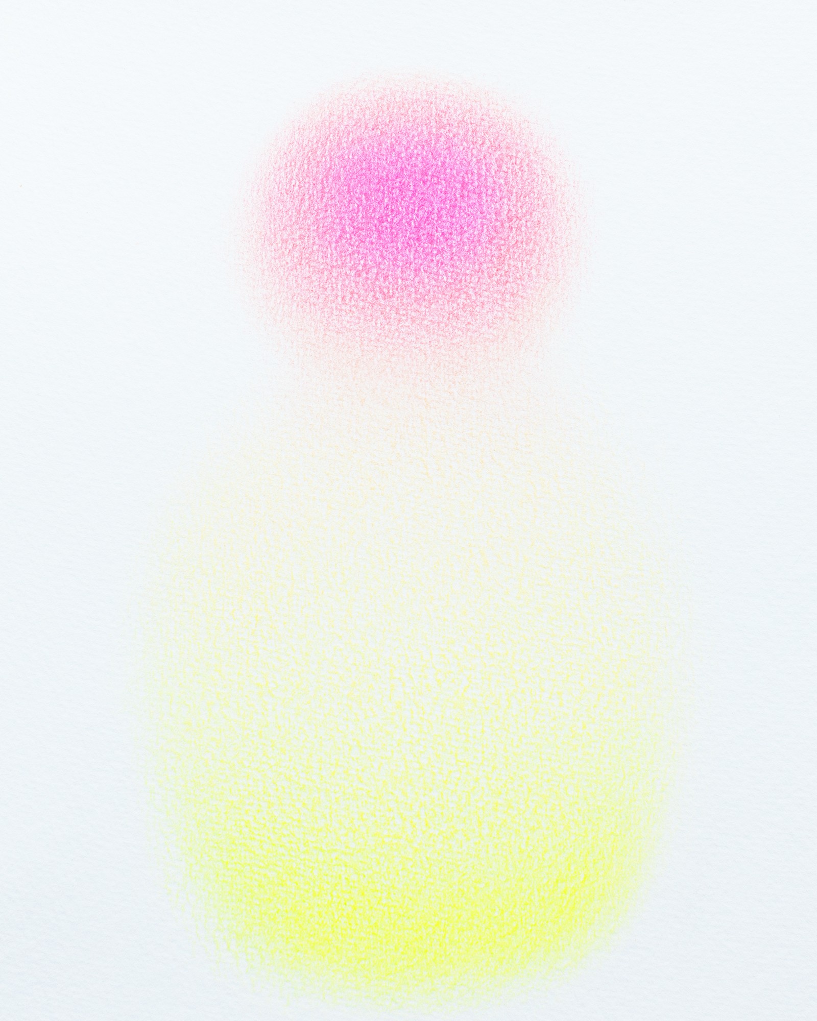 A pink and yellow circle on a white background.