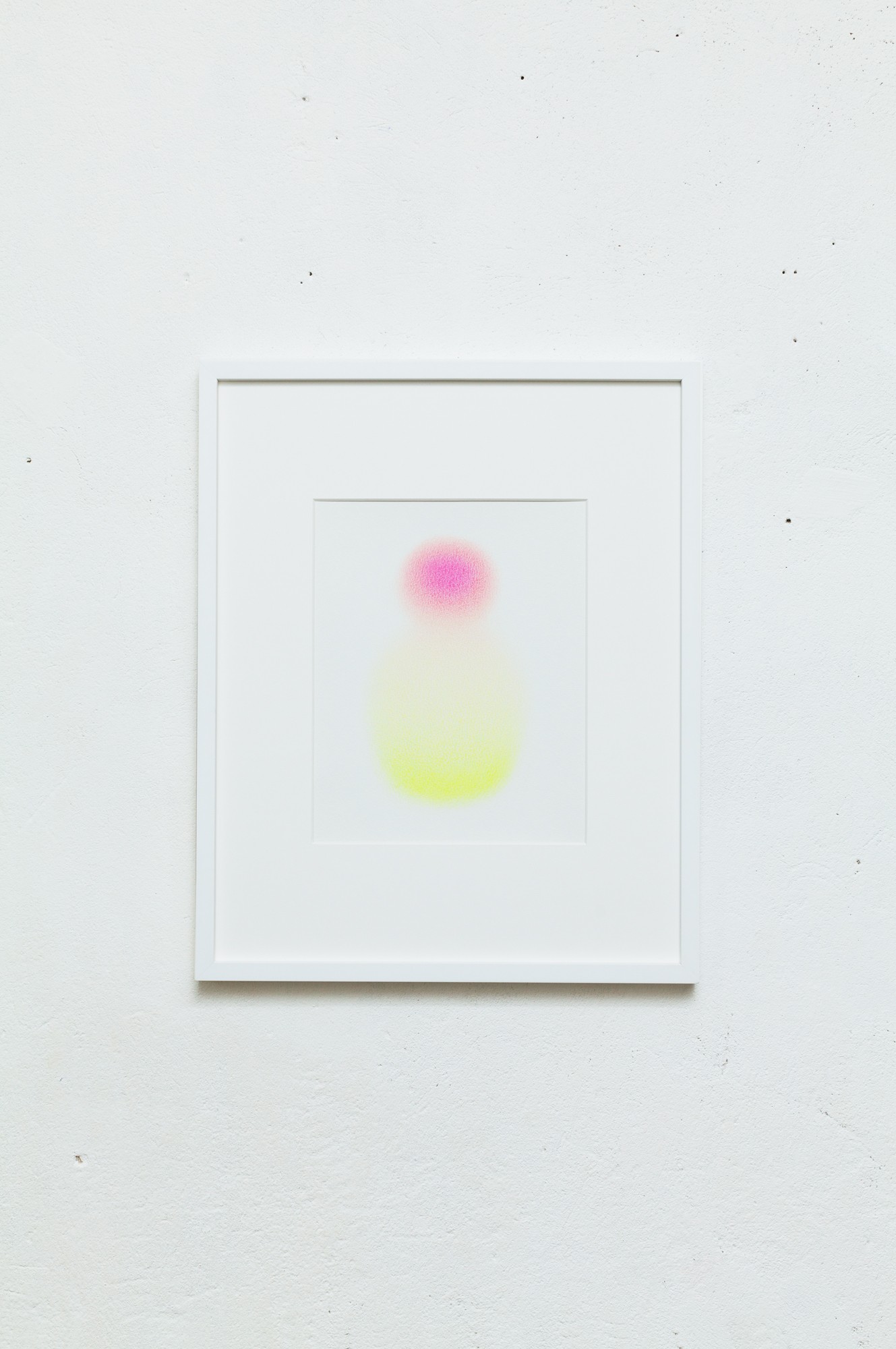 A pink and yellow circle on a white background.