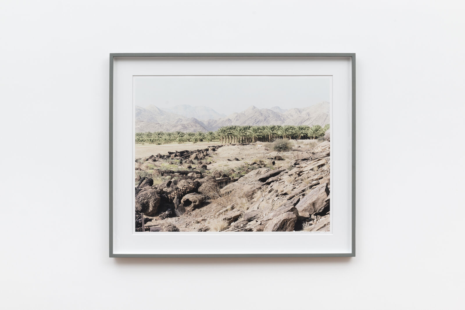 Klein Pella, (date plantation), Northern Cape, 5 June 2004 by David Goldblatt, 2004