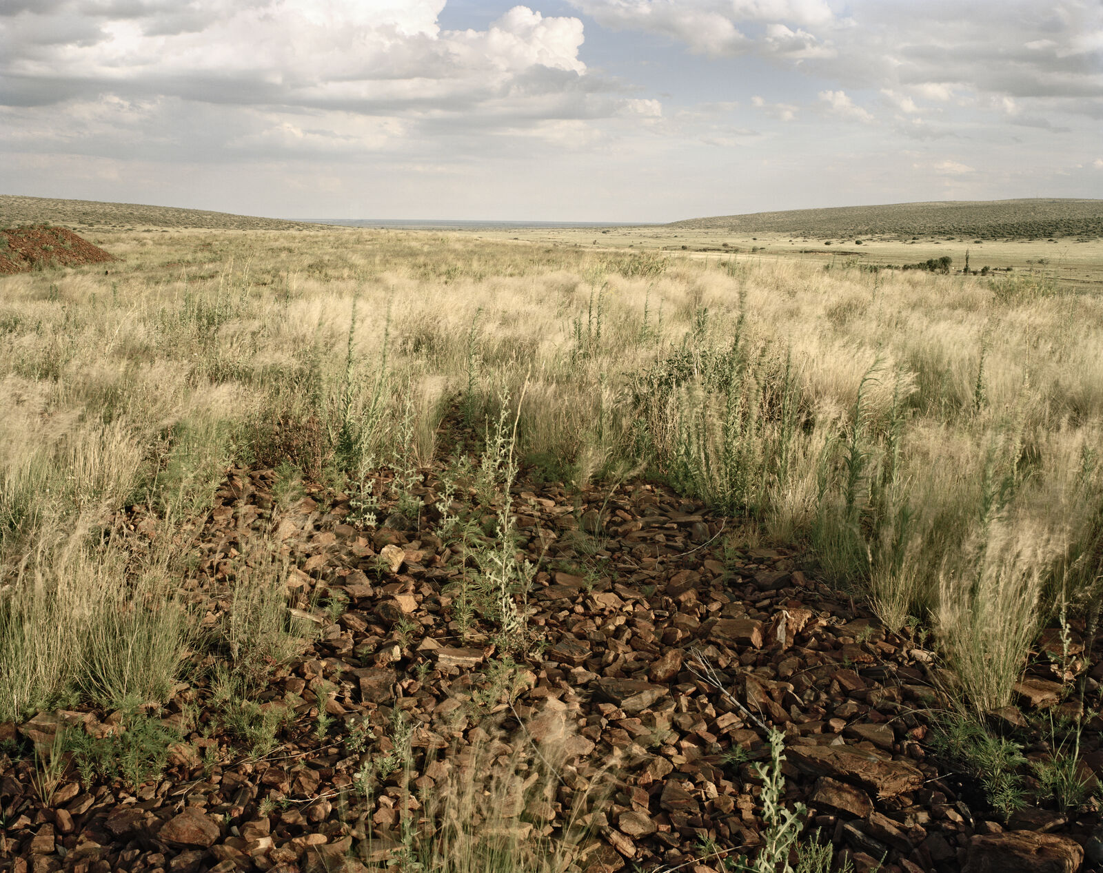 A field of dry grass and rocks in the middle of nowhere.