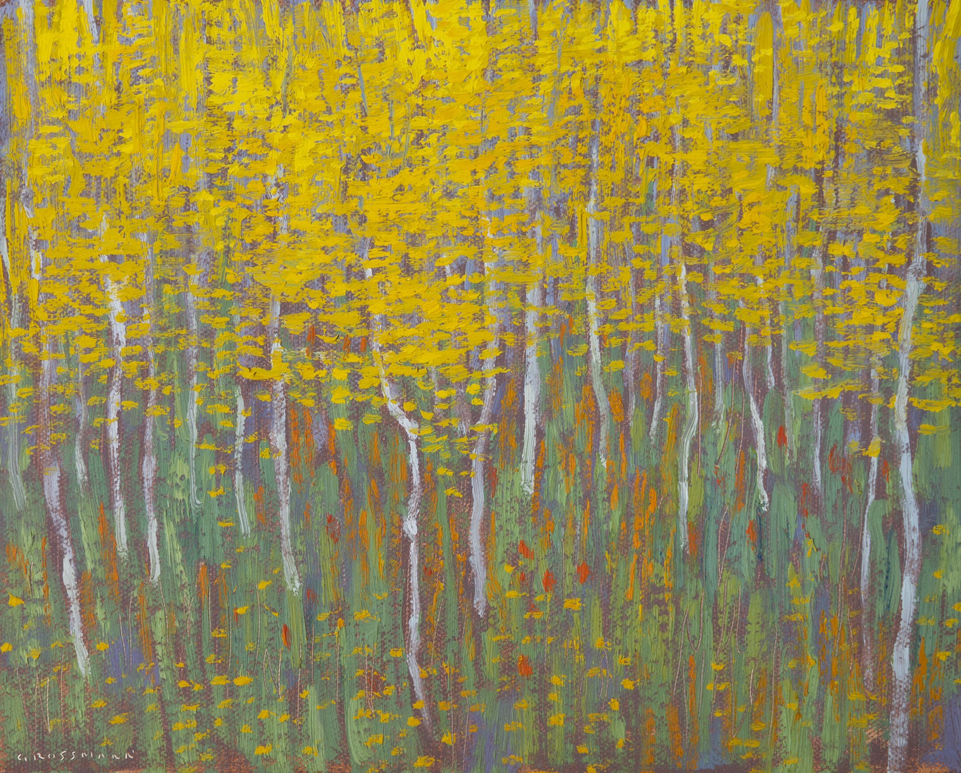 A painting of a forest of aspen trees with yellow leaves.