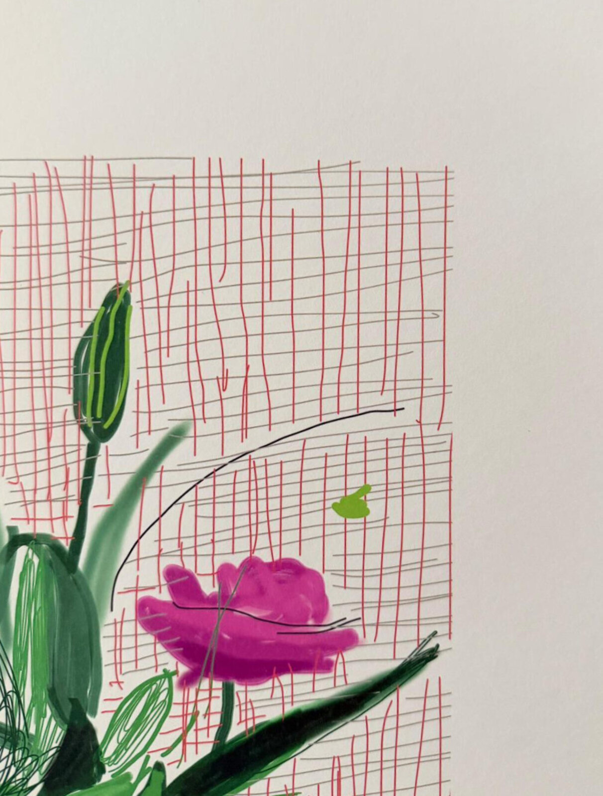 A vibrant still life of a colorful bouquet in a jar against a grid background.