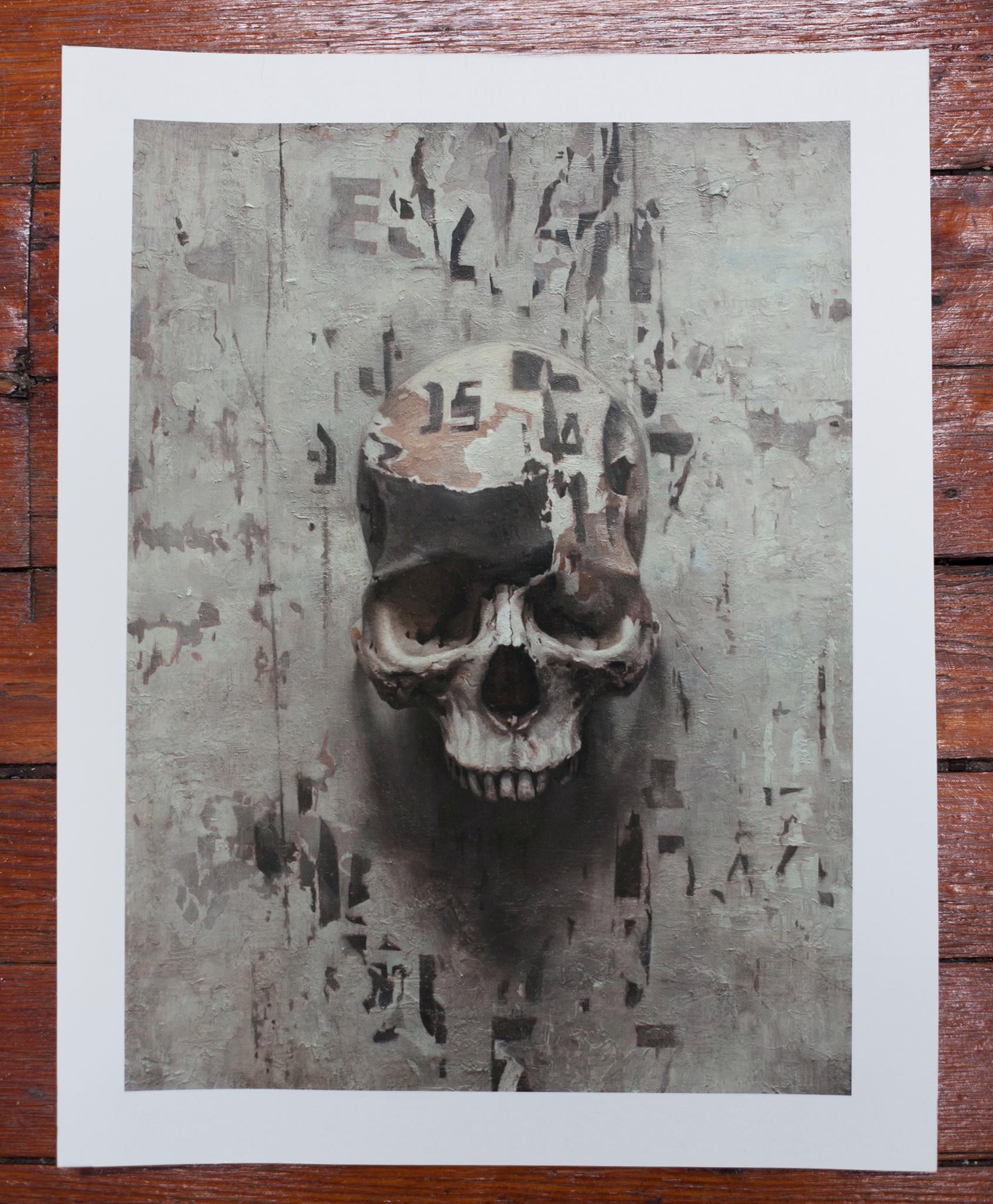 A hauntingly realistic skull emerges from a peeling, weathered wall.