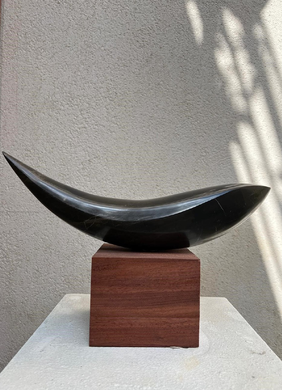 A black horn on a wooden stand on a white pedestal.