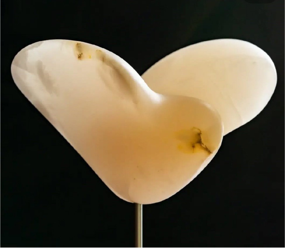 A close up of a heart shaped object on a stick.