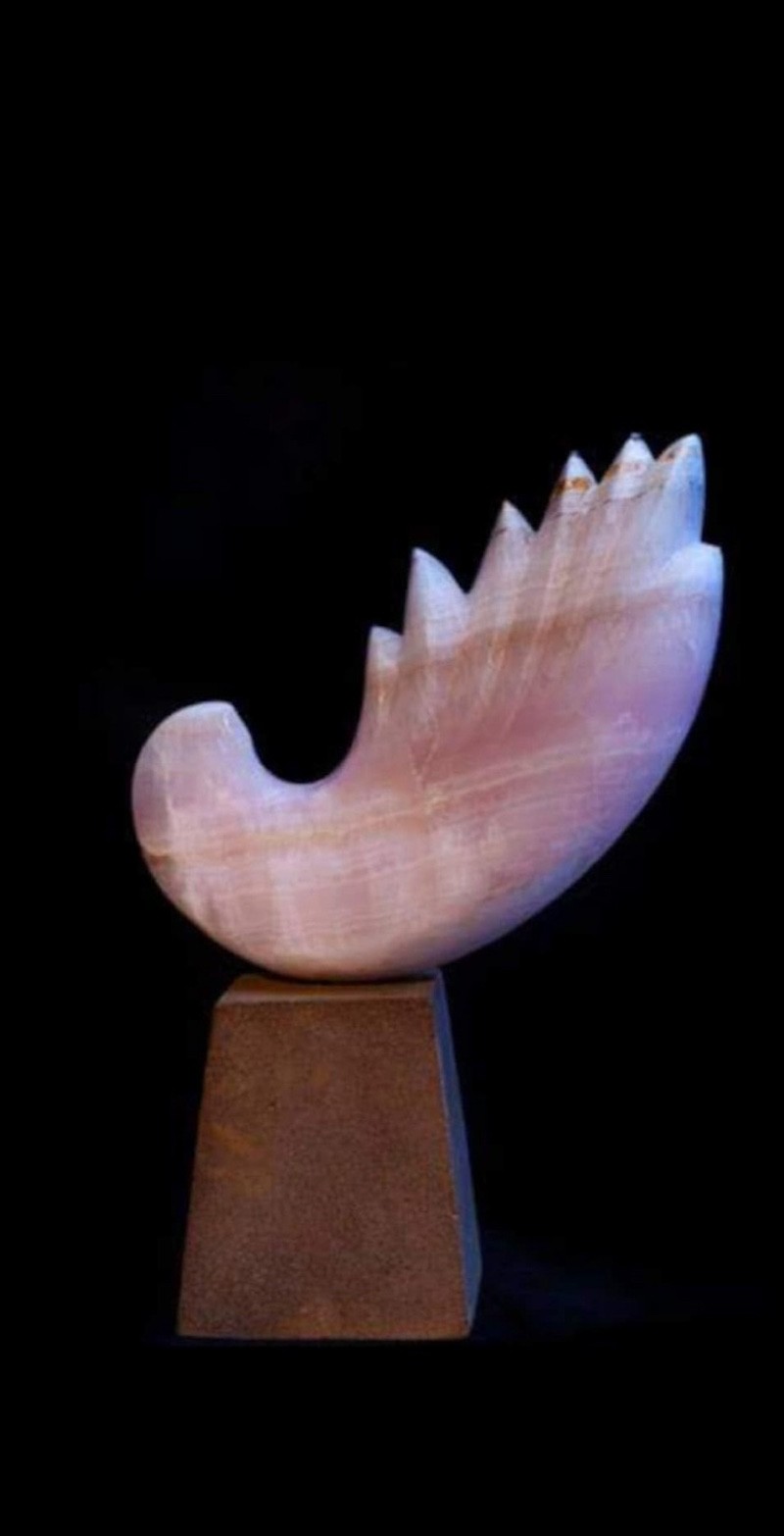 A pink shell on a wooden stand on a black background.