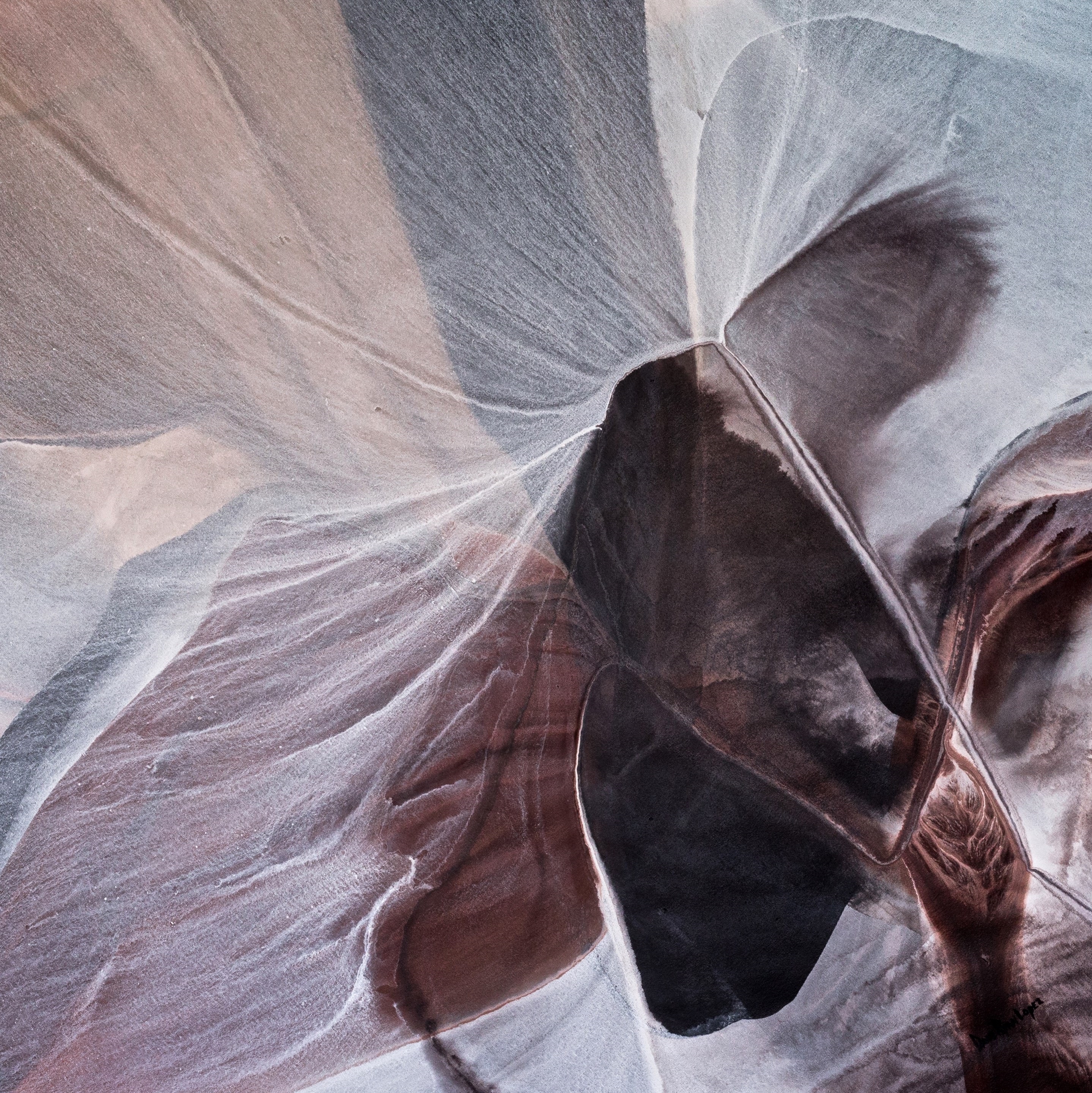 A close up of a piece of paper with a butterfly on it.