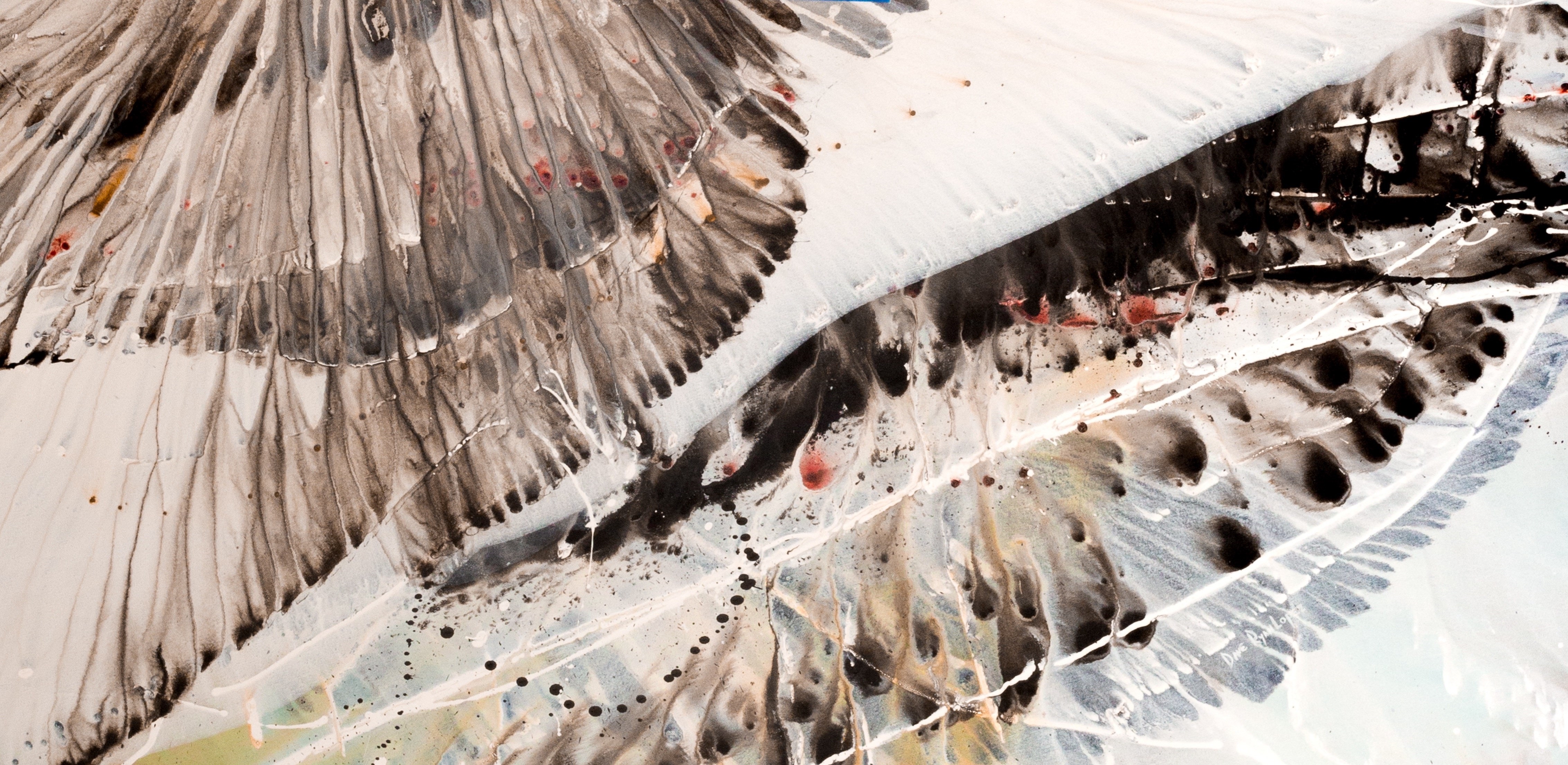 A close up of a painting of a bird's wing.