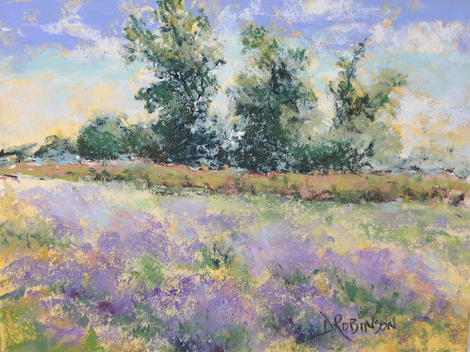 Natural Peace by Debbie Robinson, 2025