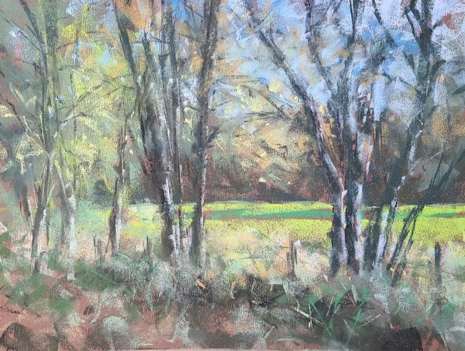 Renewed Hope by Debbie Robinson, 2025