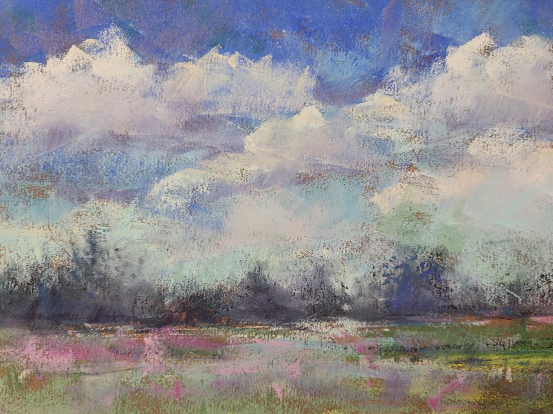 Softened Splendor by Debbie Robinson, 2026