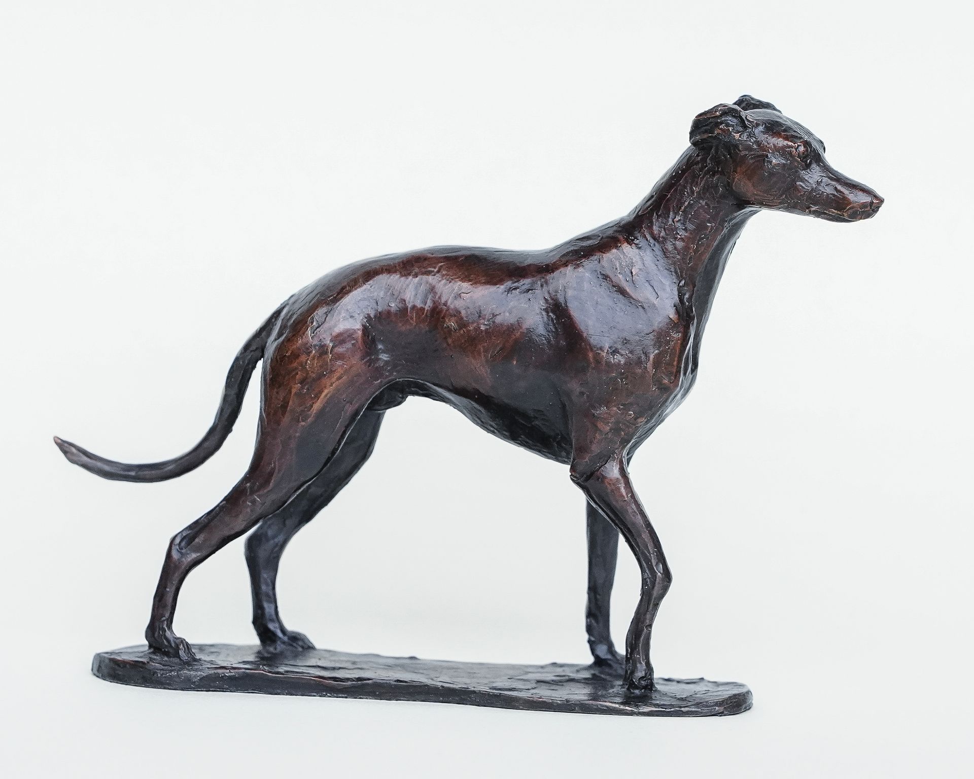 A bronze sculpture of a greyhound standing on a white background.
