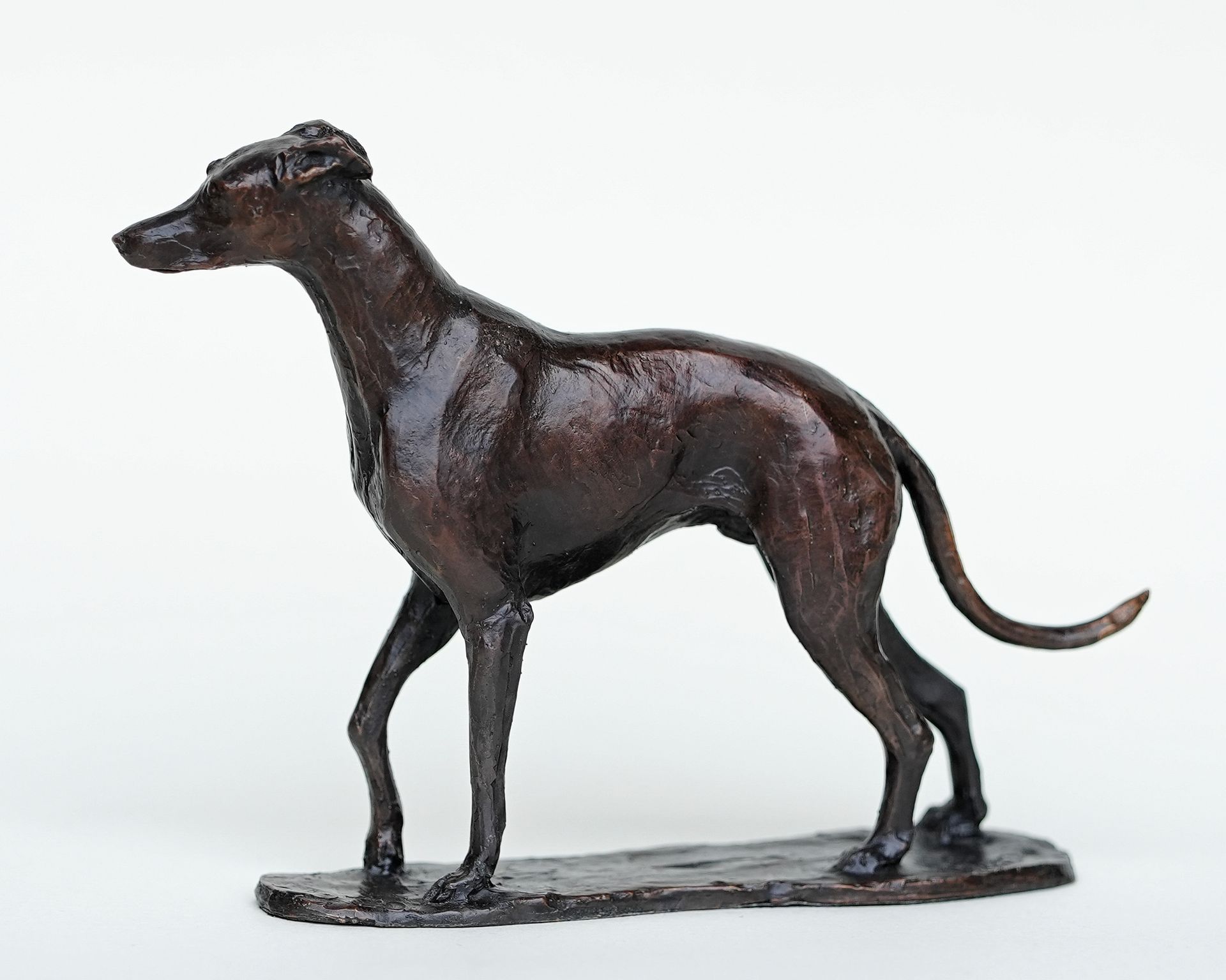 A bronze sculpture of a greyhound standing on a white background.