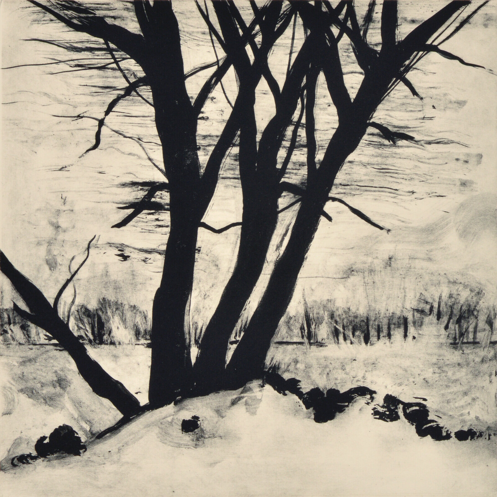 Artwork by Deborah Freedman, Cold Spring III, Made of Solar Plate Etching 
