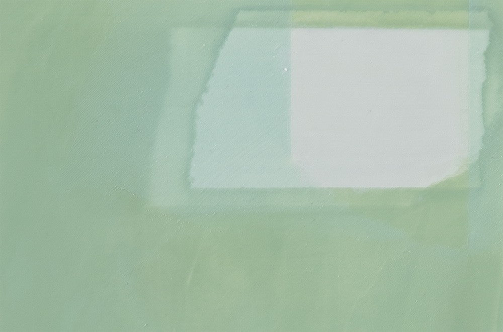 Artwork by Debra Ramsay, Lichen Memory 2, Made of Acrylic on clear plexiglass 