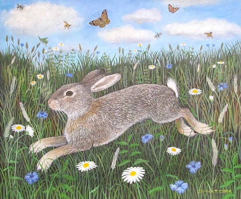 Summer Buzz by Diana Cook, 2012