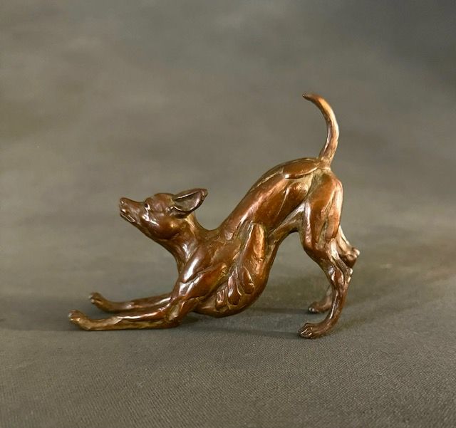 Chihuahua Stretch by Diana McClaran, null