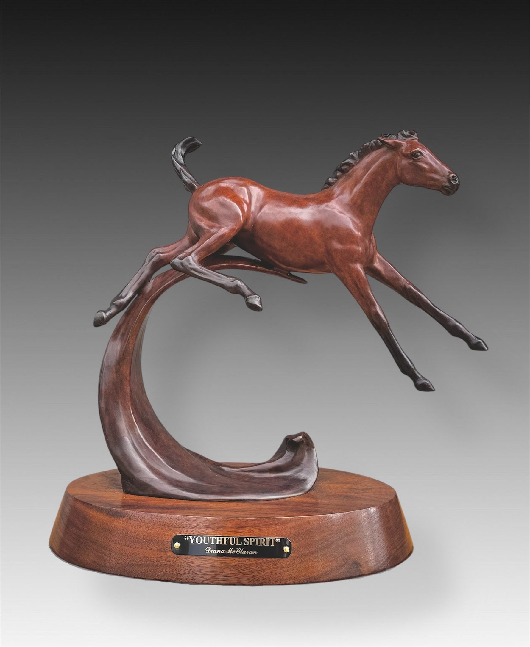 Youthful Spirit by Diana McClaran, null