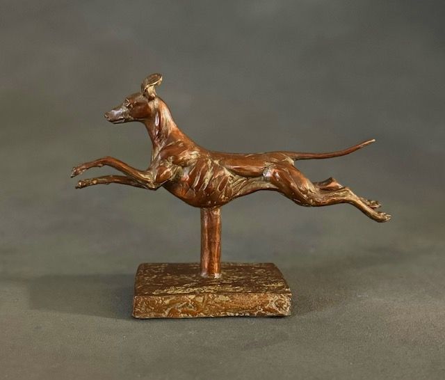 Zoomies by Diana McClaran, null