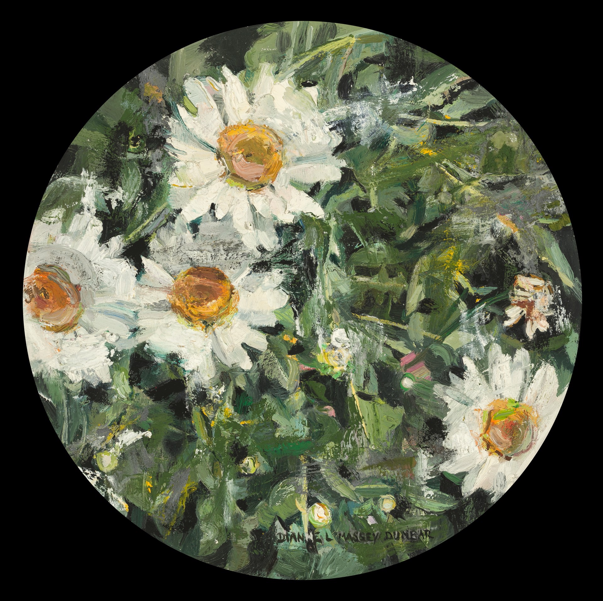 Daisies