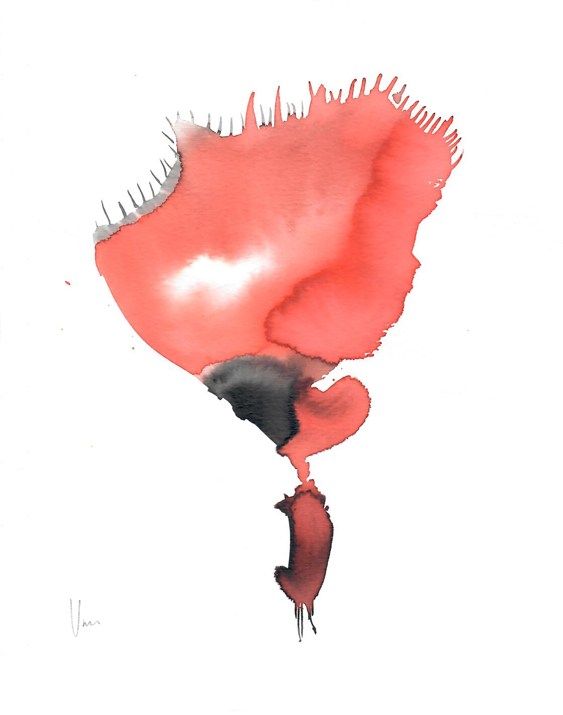 A watercolor painting of a red flower in a white frame.