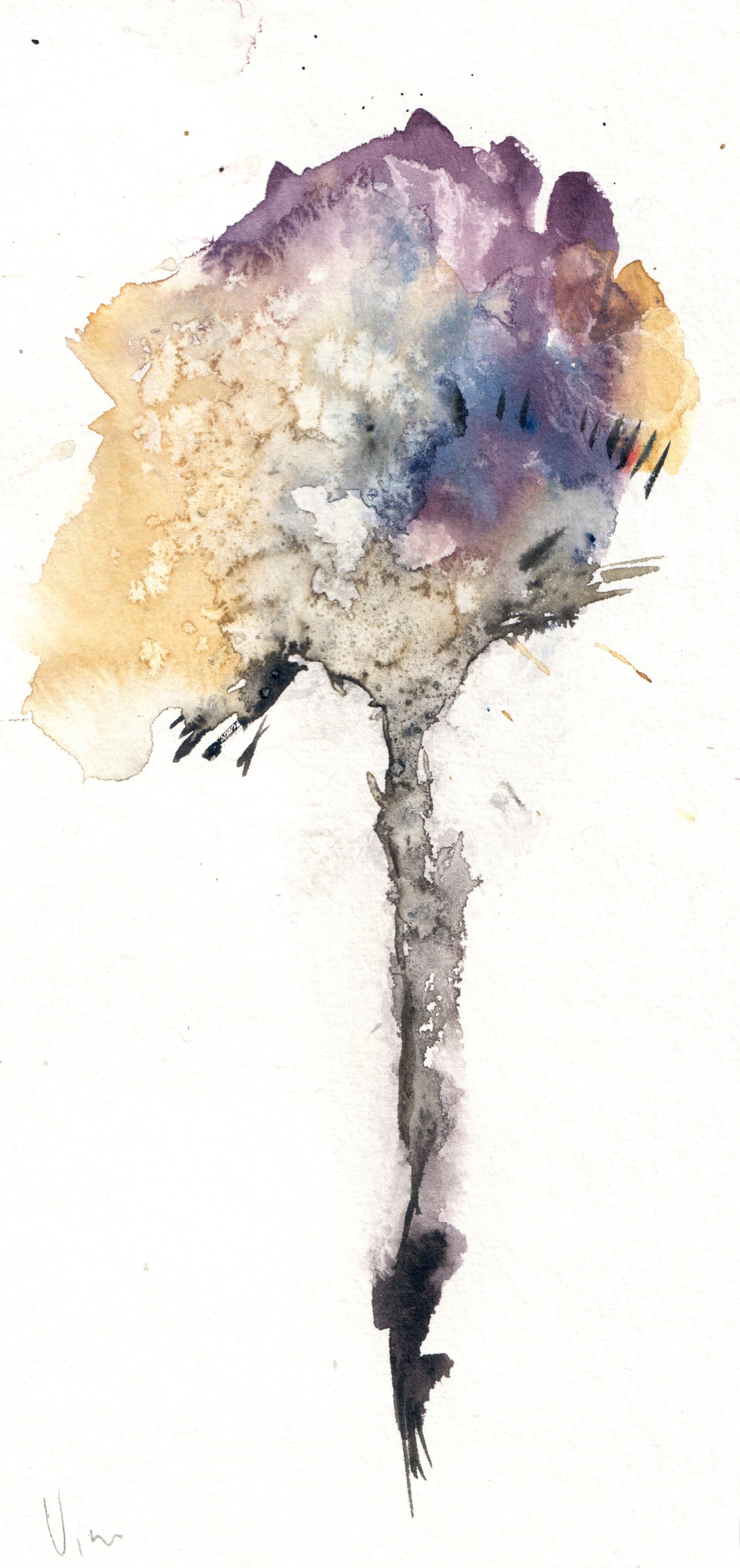A watercolor painting of a flower on a white background.
