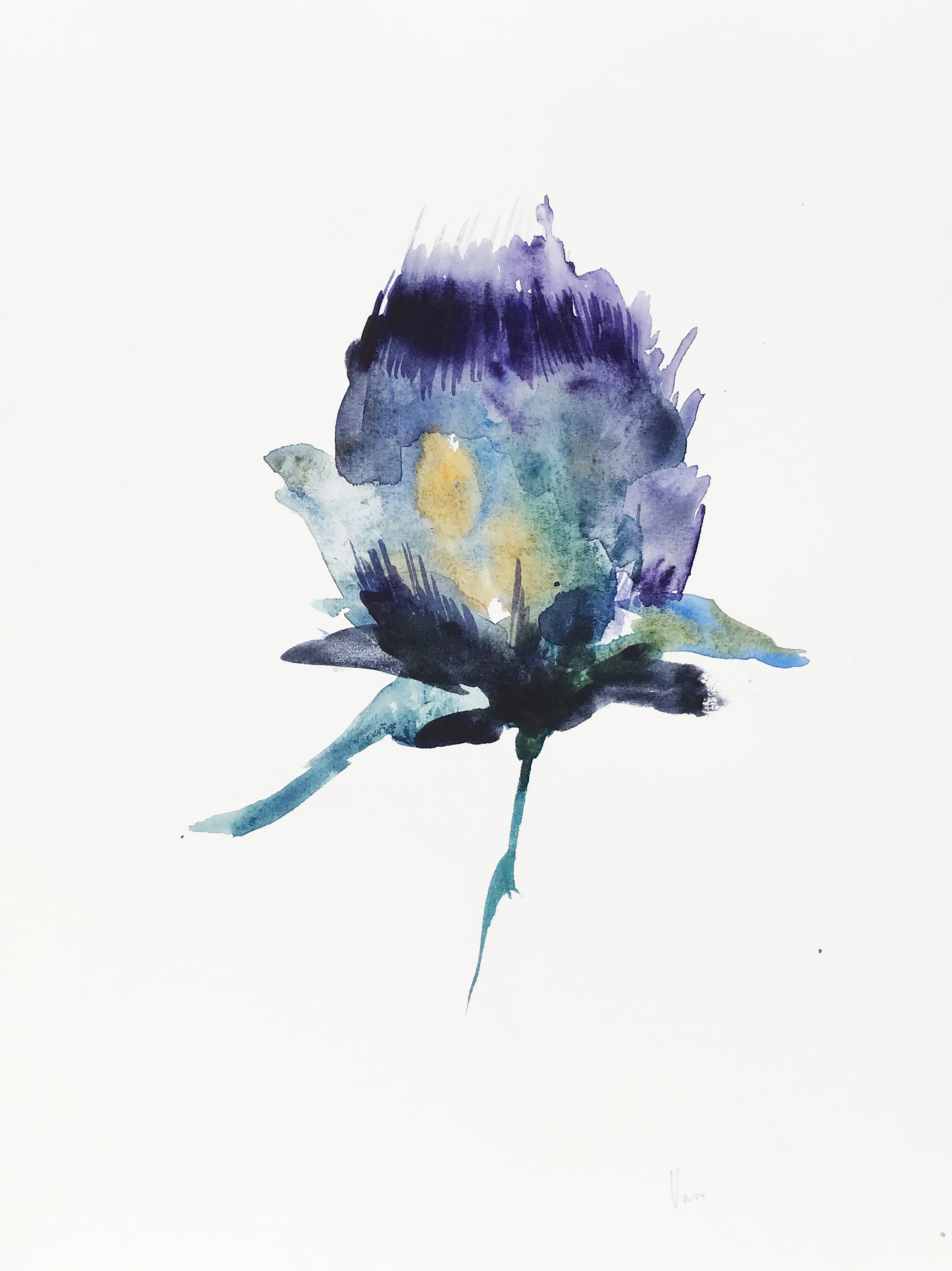 A watercolor painting of a purple flower on a white background.