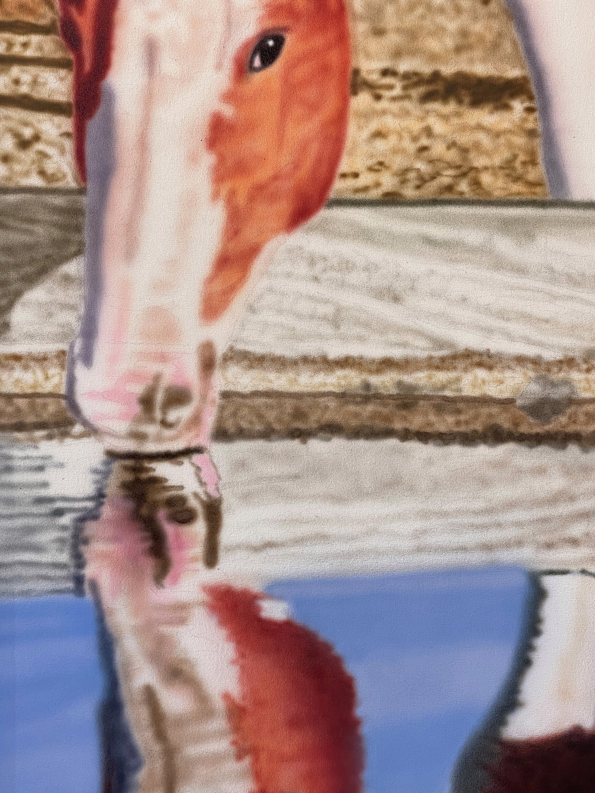 Lamar Reflection