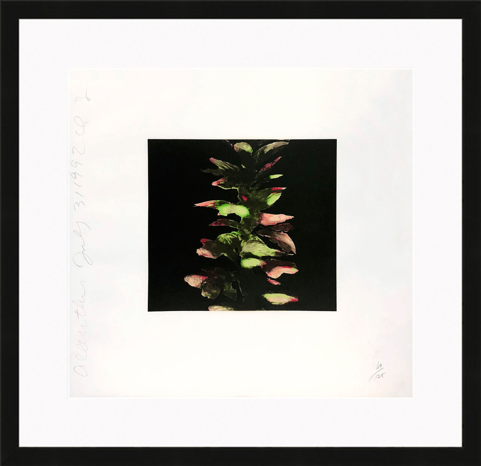 ACANTHUS by Donald Sultan, 1992