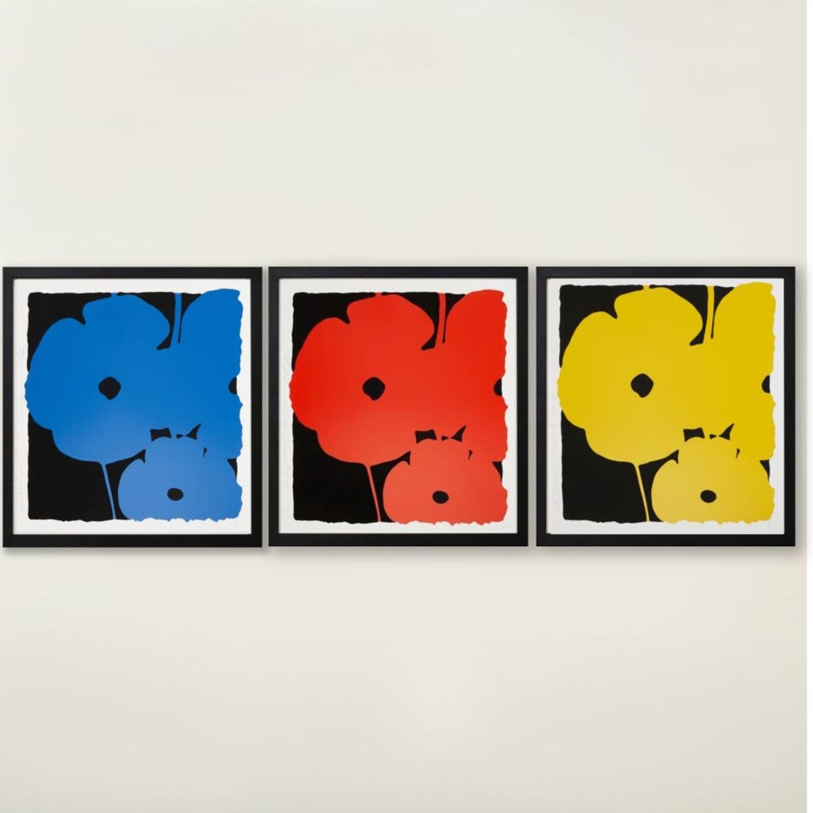 Big Poppies (portfolio) by Donald Sultan, 2014