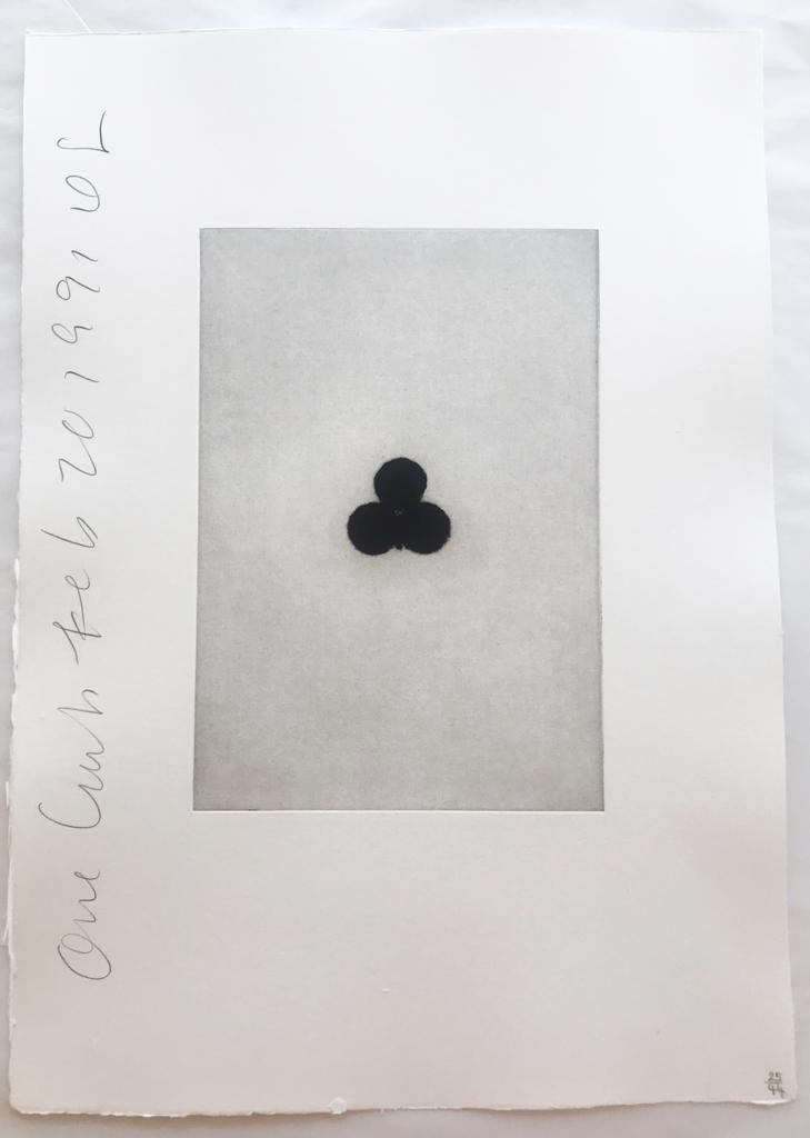 A black and white photo of a flower on a piece of paper.