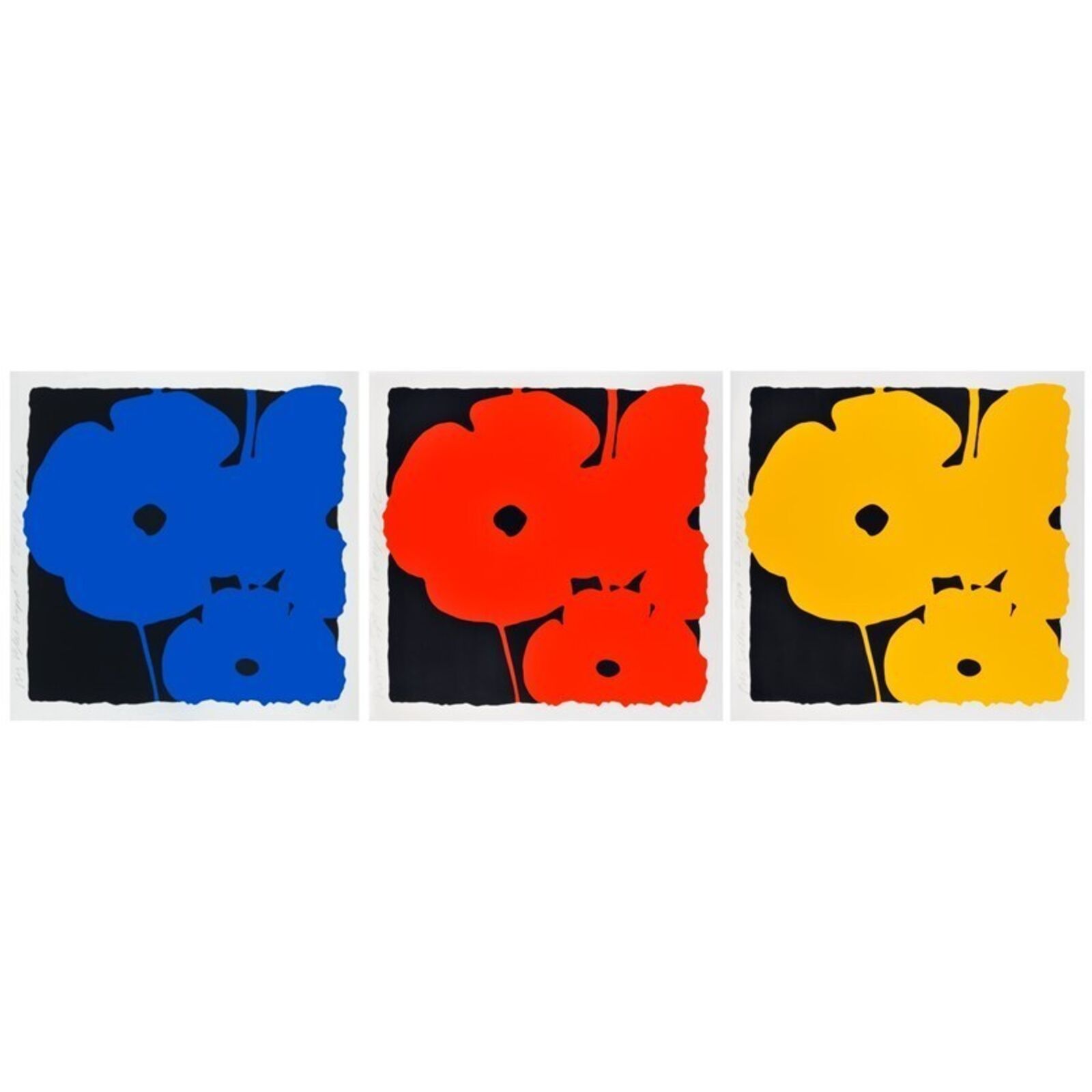 Big Poppies (portfolio) by Donald Sultan, 2014