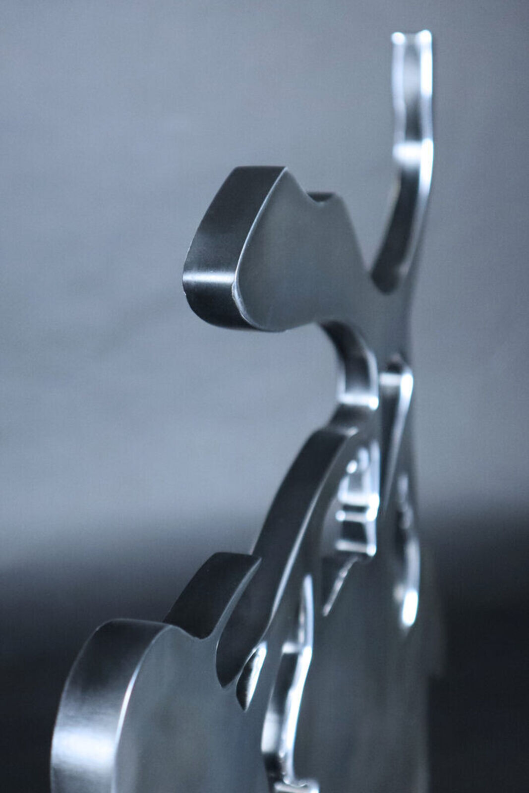 Artwork by Donald Sultan, Silver Lantern Flowers, May 5, 2014, Made of Polished Aluminum Sculpture 