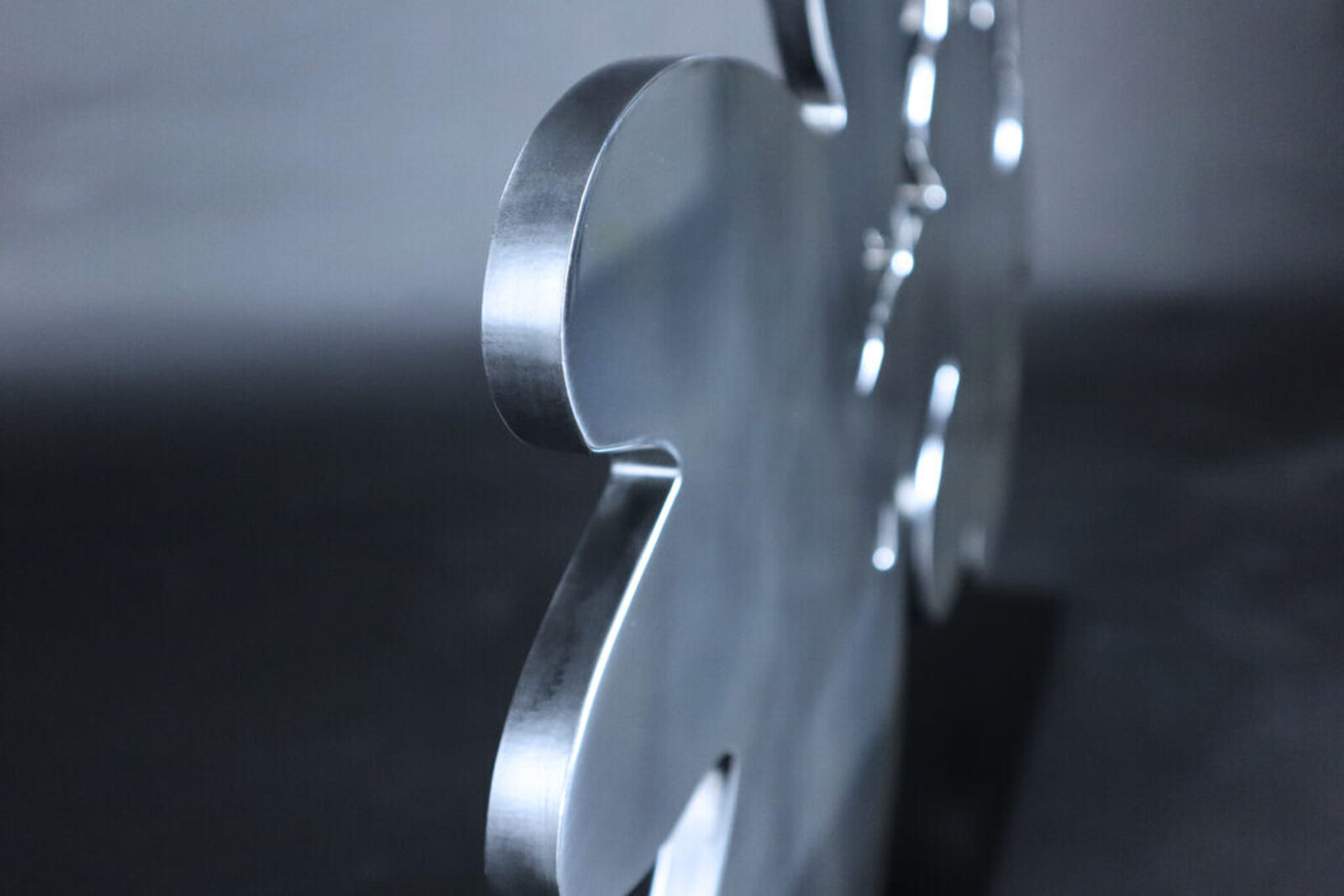 Artwork by Donald Sultan, Silver Lantern Flowers, May 5, 2014, Made of Polished Aluminum Sculpture 