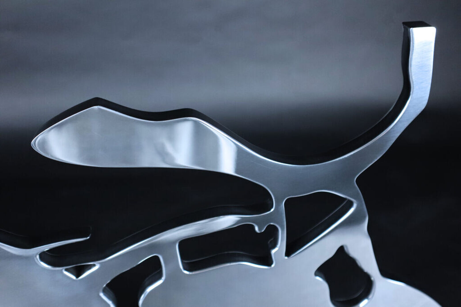 Artwork by Donald Sultan, Silver Lantern Flowers, May 5, 2014, Made of Polished Aluminum Sculpture 