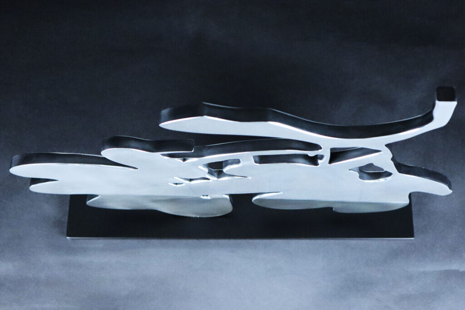 Artwork by Donald Sultan, Silver Lantern Flowers, May 5, 2014, Made of Polished Aluminum Sculpture 