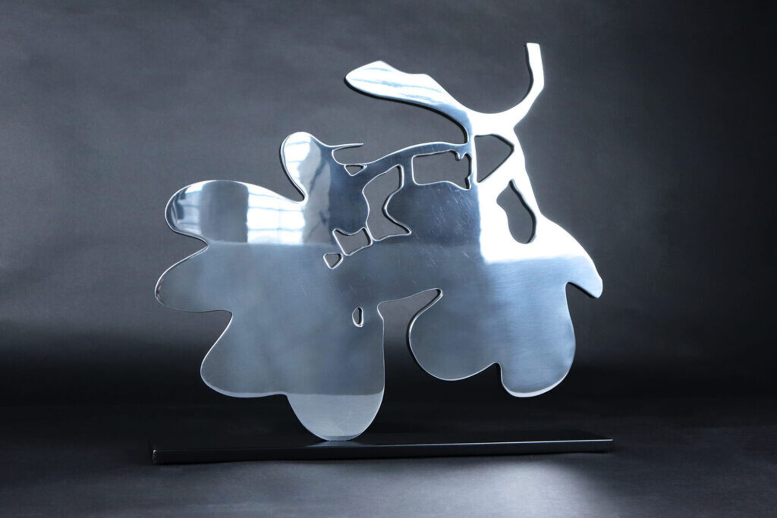 Artwork by Donald Sultan, Silver Lantern Flowers, May 5, 2014, Made of Polished Aluminum Sculpture 