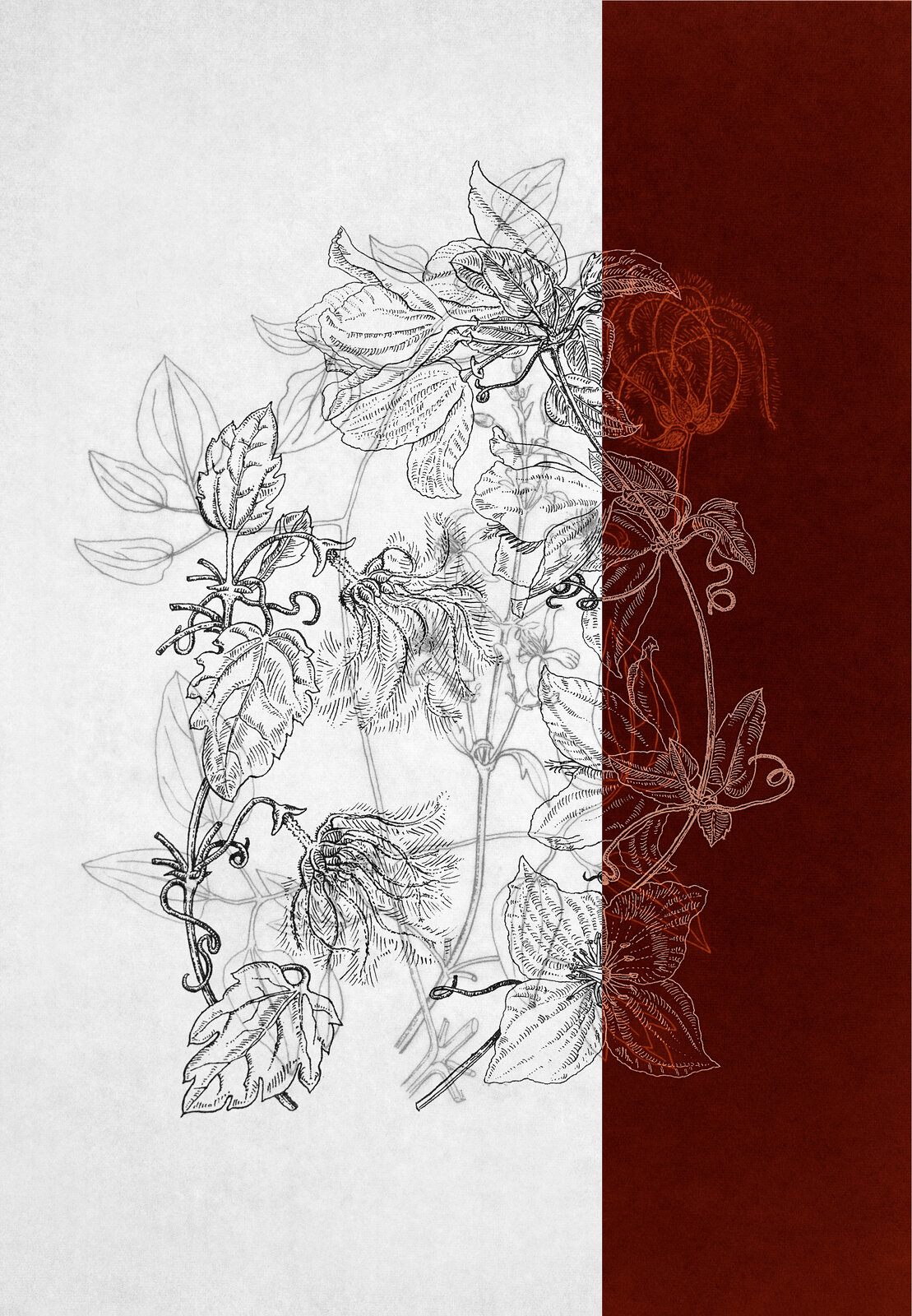 A drawing of a bunch of flowers on a red and white background.