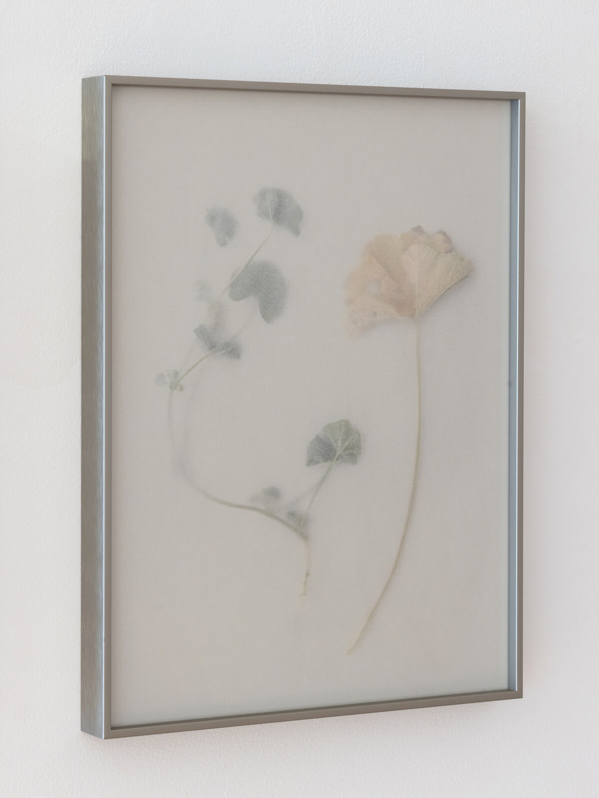 Khubeiza #10 by Dor Guez, 2025