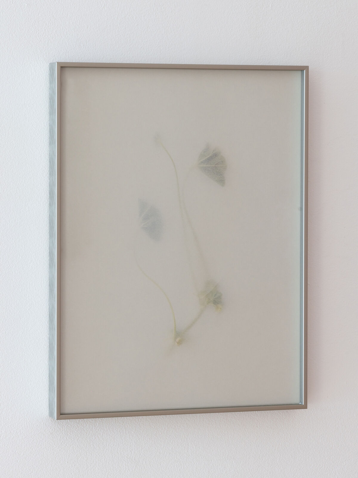 A picture of a white wall with a silver frame on it.