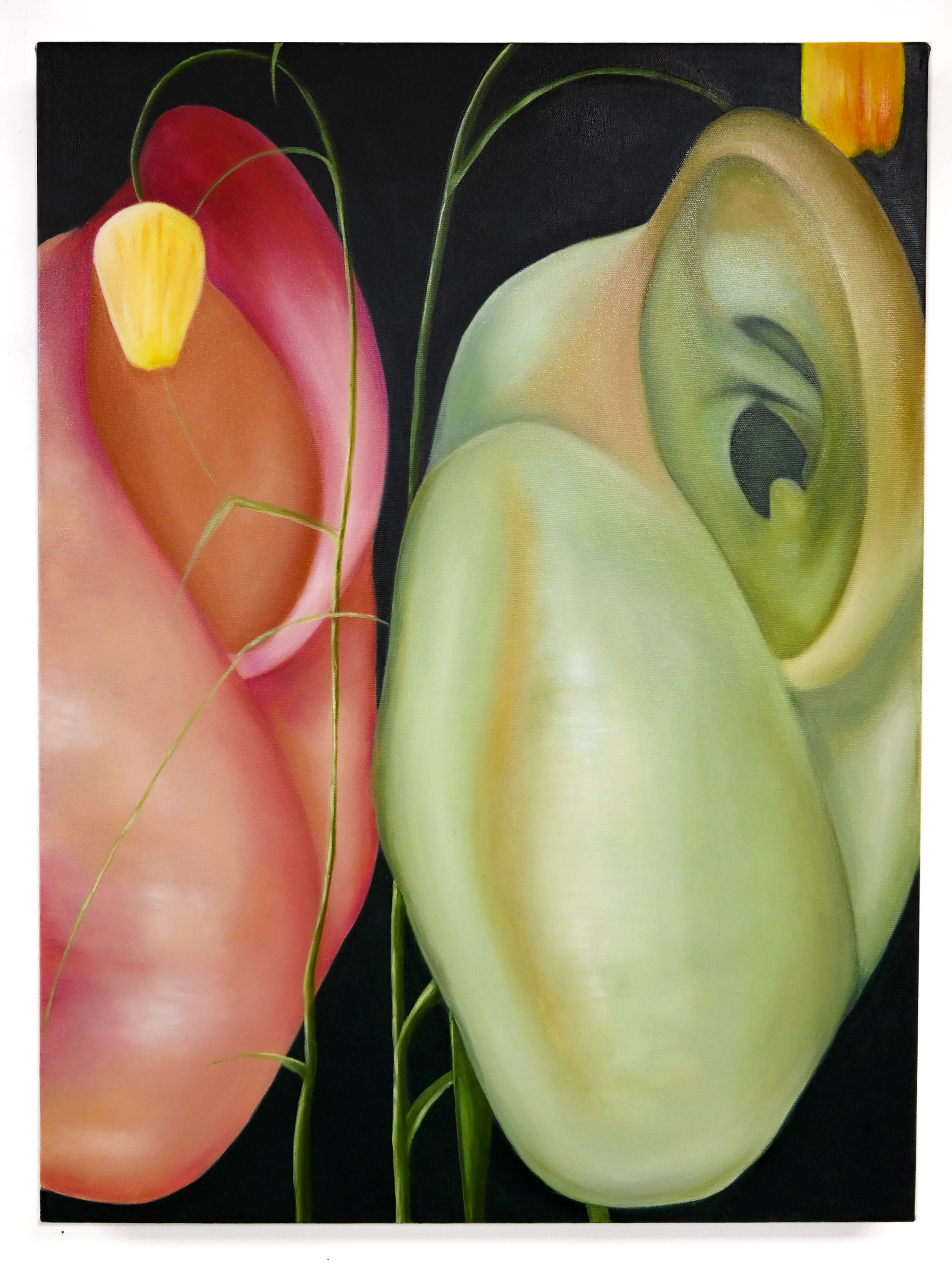 The sound of nursery by Dou Wei, 2024