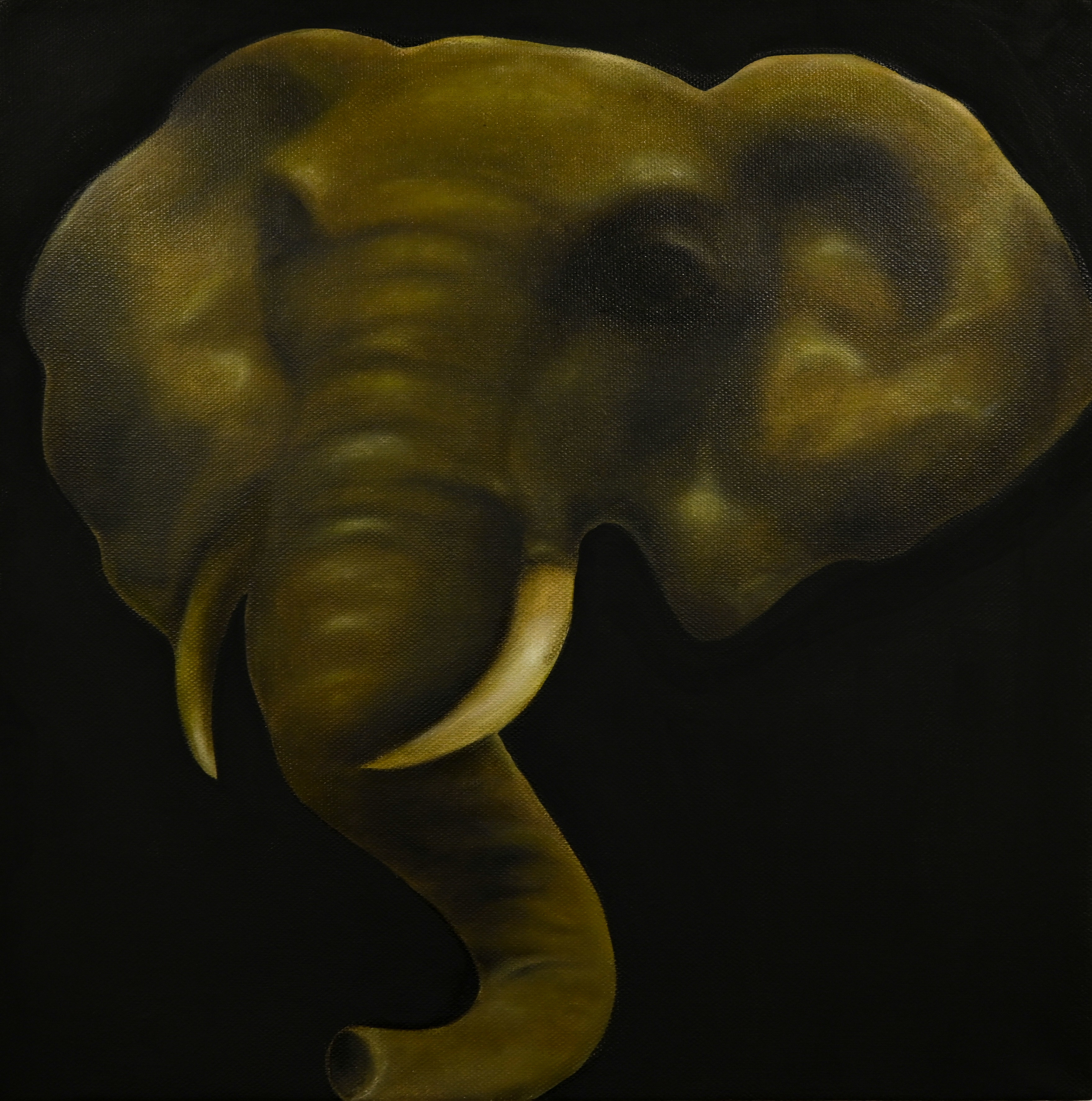 Tusk by Dou Wei, 2024