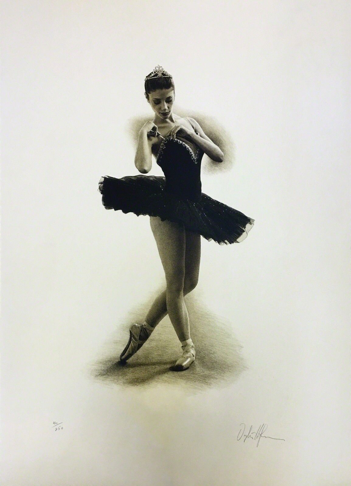 BLACK SWAN by Douglas Hofmann, null