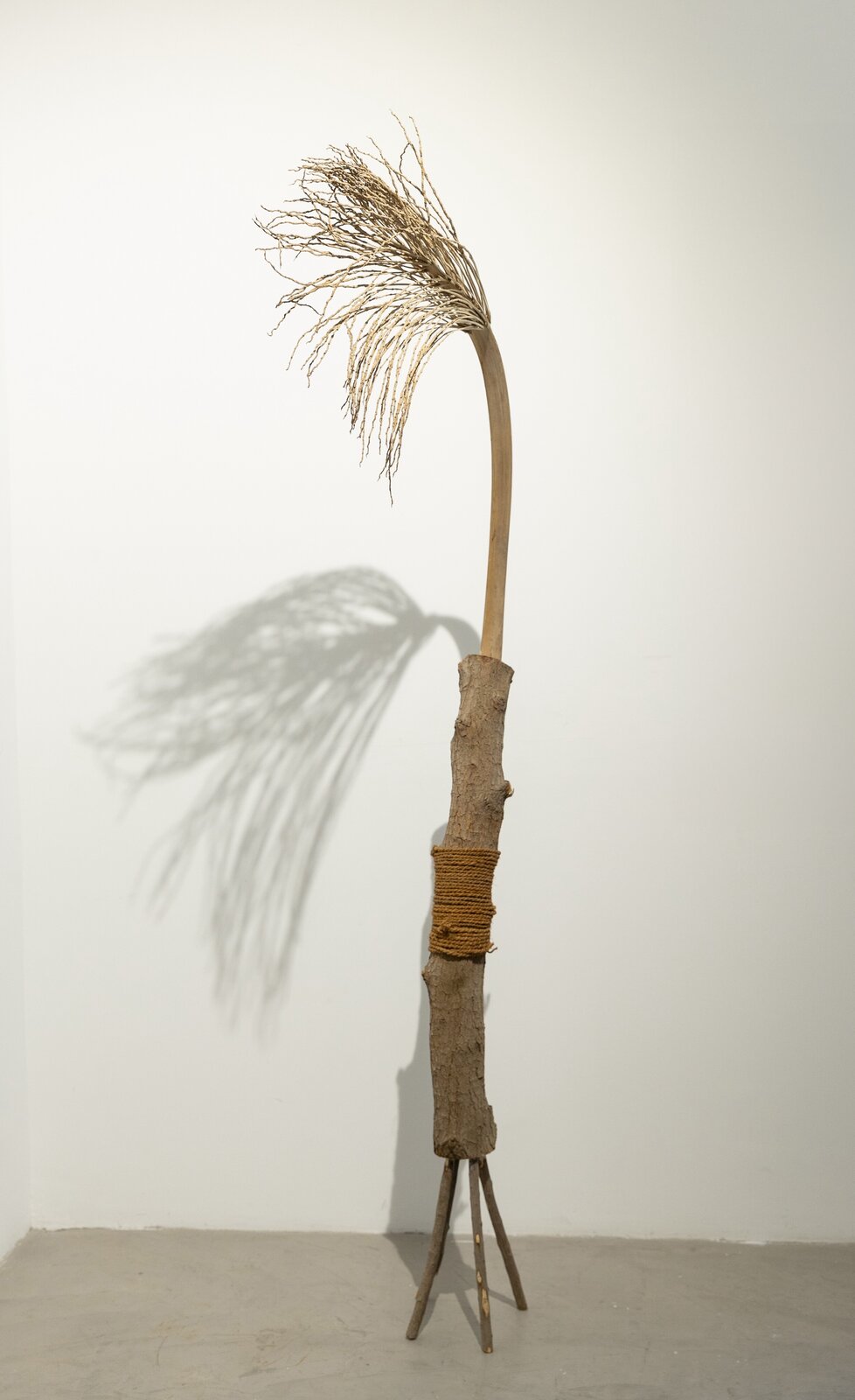 Against the Wind (2) by Mohamed Yousif, 2005