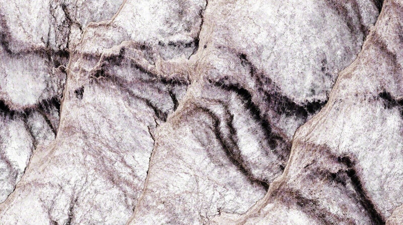 Artwork by Driessens & Verstappen, E-volved Cultures, Succession 6, Made of Custom software, endless 