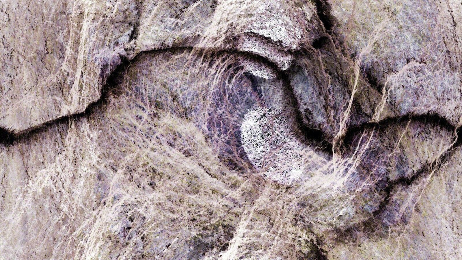 E-volved Cultures, Succession 6 by Driessens & Verstappen, 2017